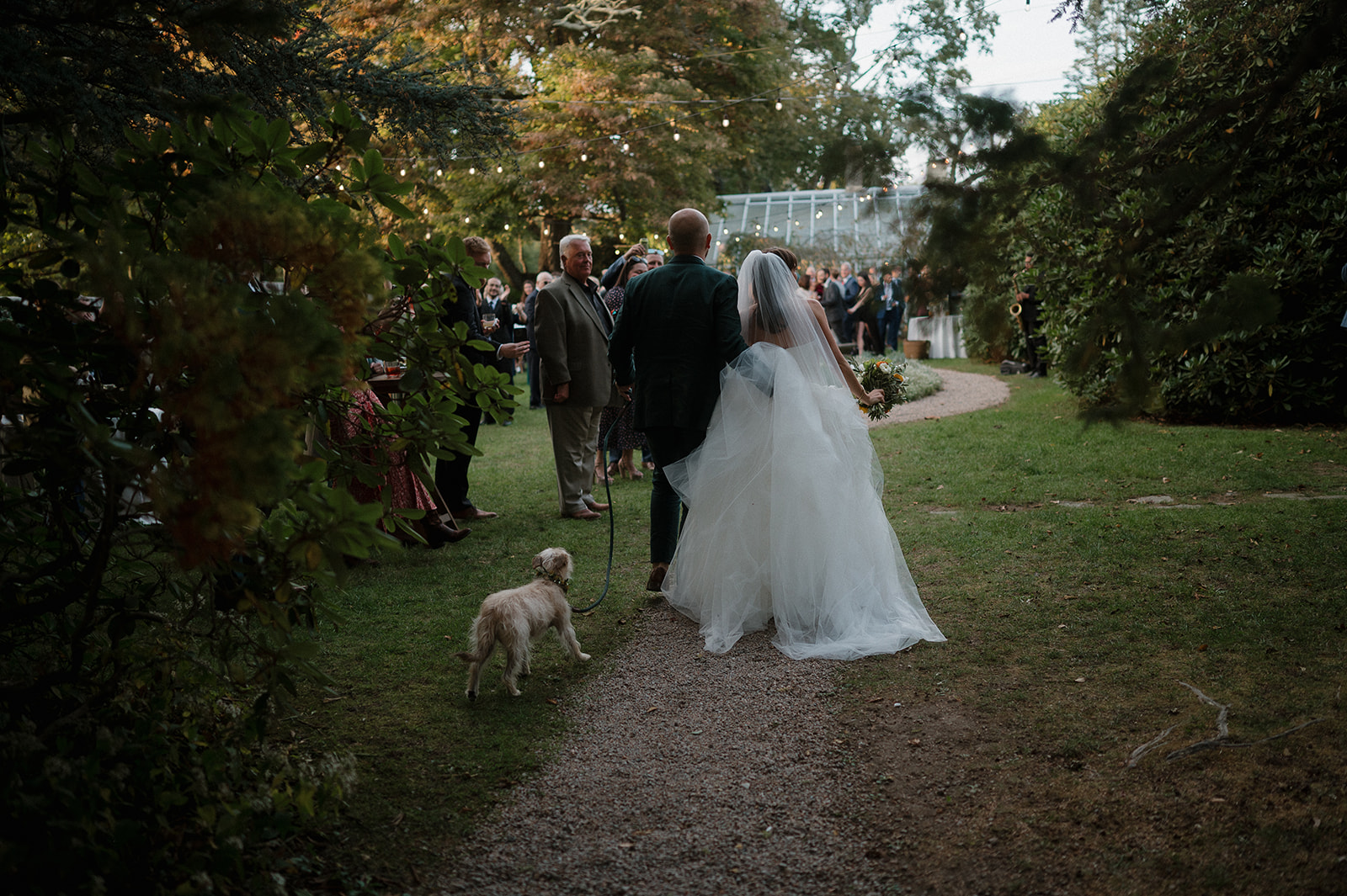 Bride and groom walking to the greenhouse for their cocktail hour. 