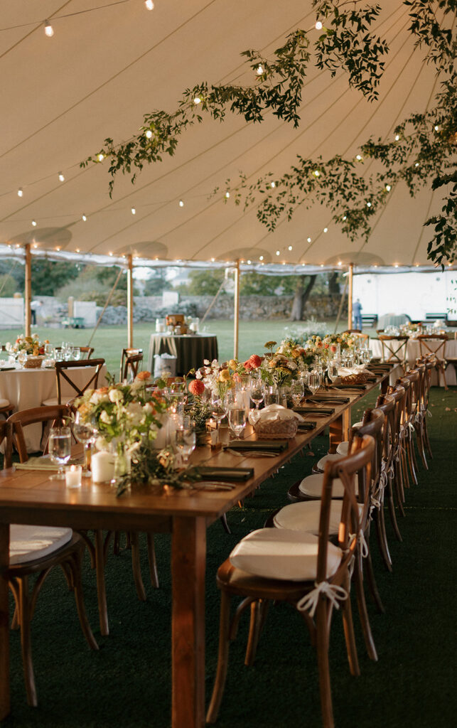 Stone Acres Farm wedding reception in The Meadow.