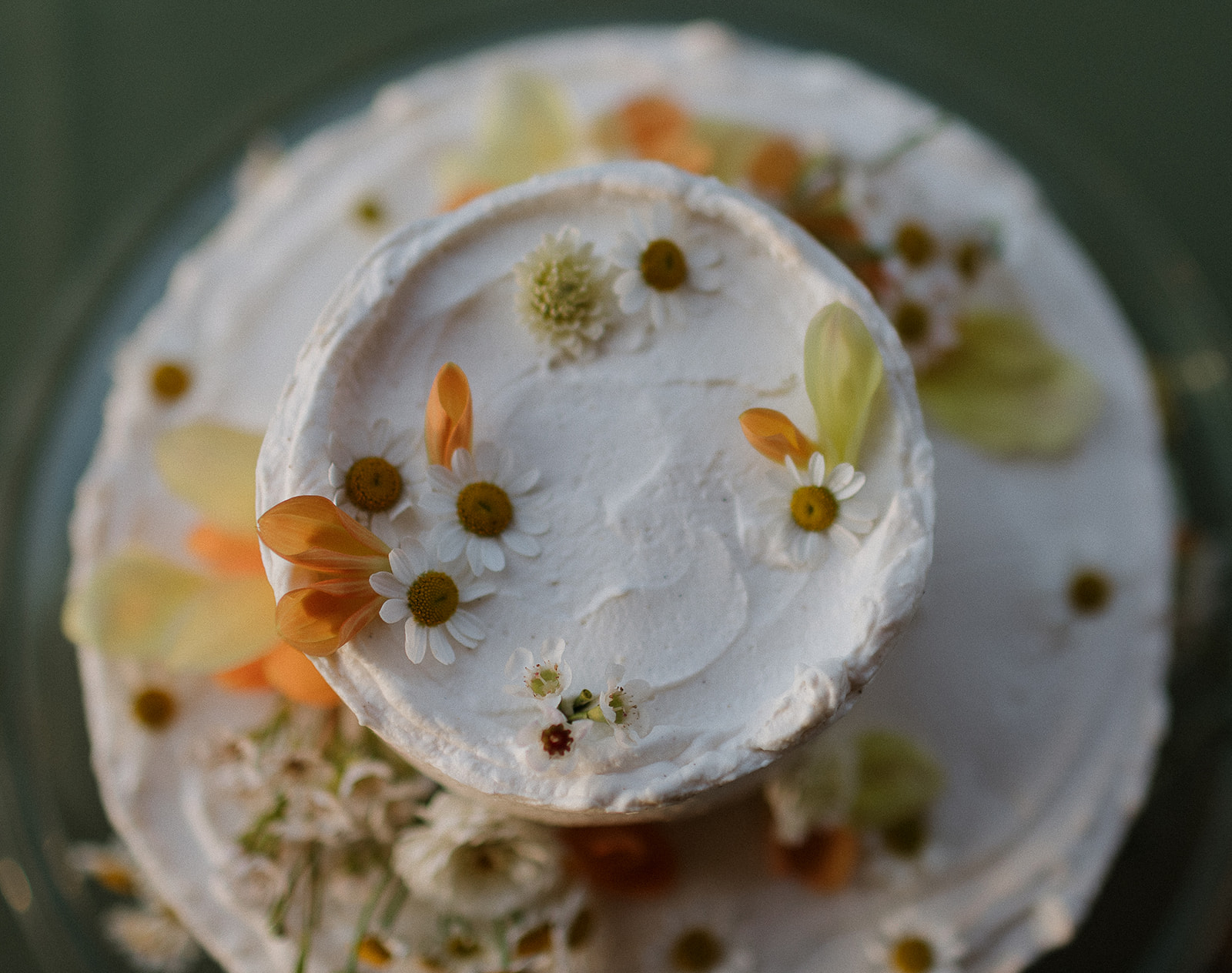 Overhead shot of a two tiered floral cake. 