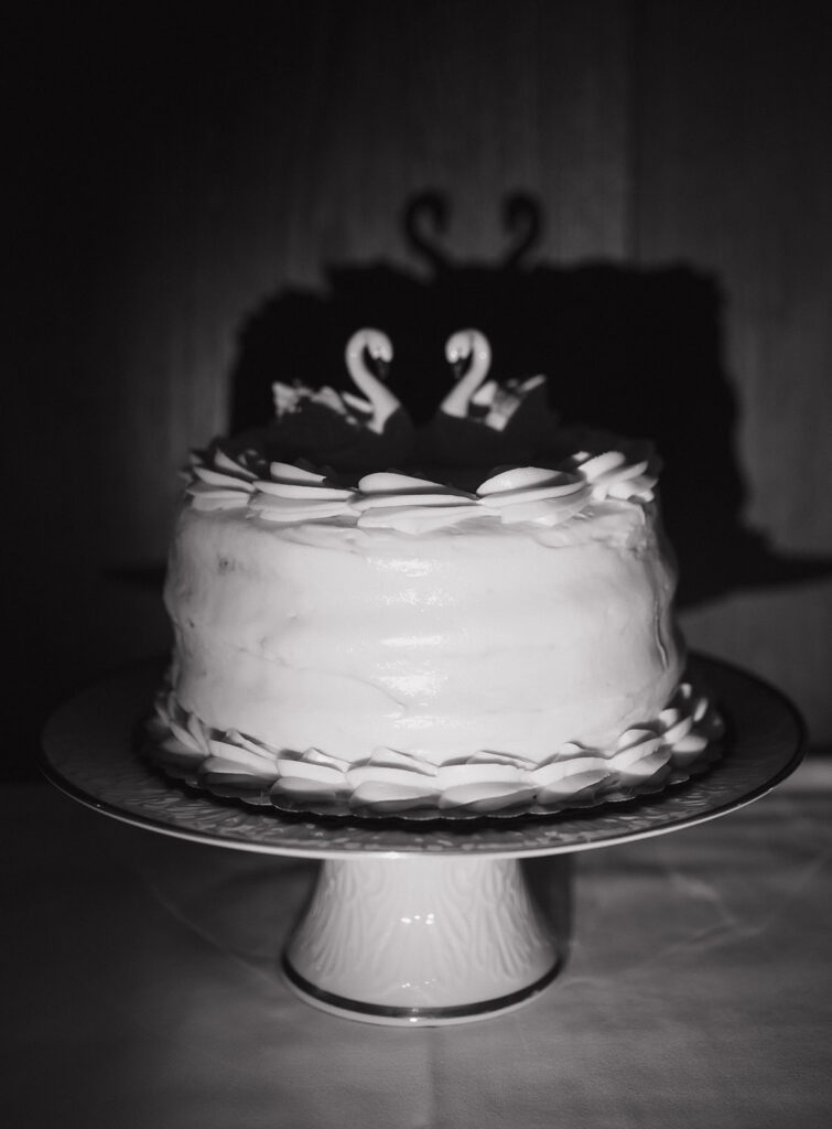 Black and white wedding cake with swan toppers and dramatic lighting creating strong shadows.